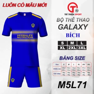 ÁO THỂ THAO CLB GALAXY MÀU BÍCH